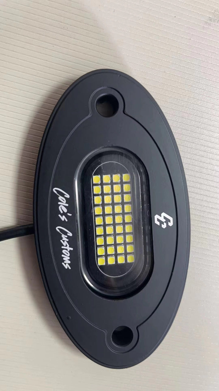 PURE WHITE LED ROCK LIGHTS  (36 LEDS)